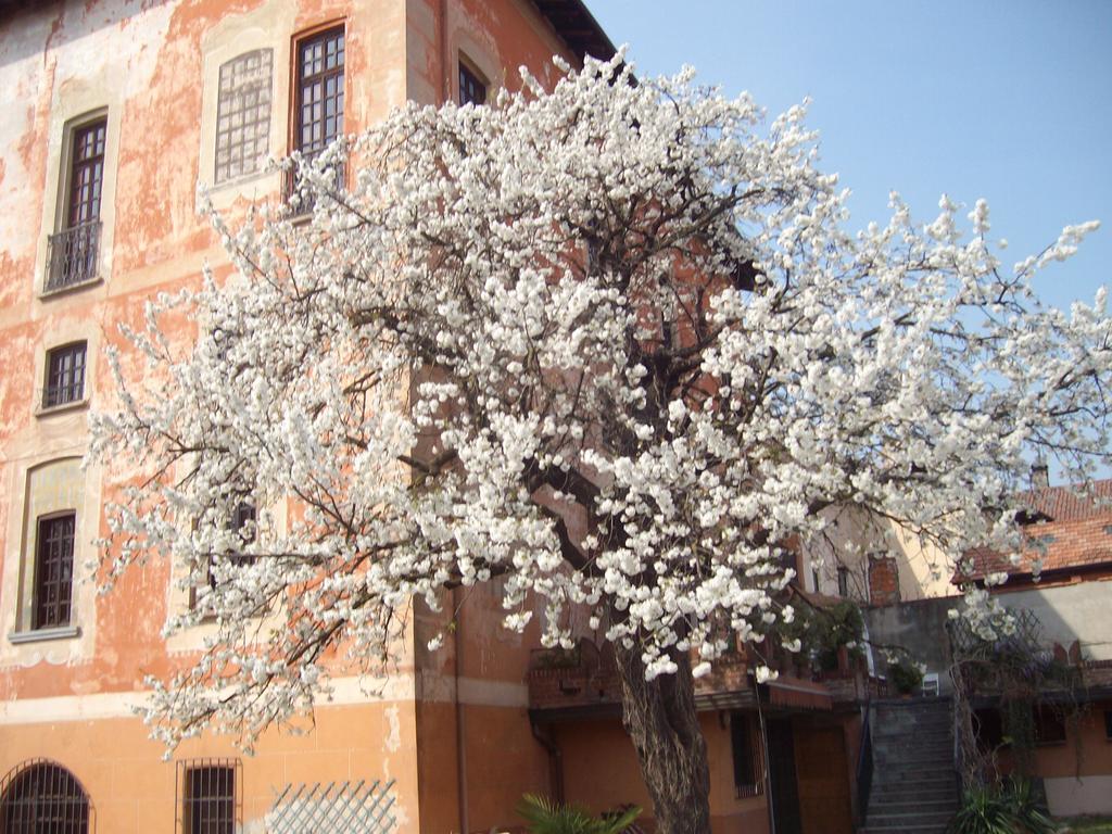 Il Castello Delle Meraviglie Fontaneto d'Agogna ภายนอก รูปภาพ